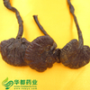 Ganoderma Mushroom / 野生灵芝 / Ling Zhi