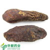 Herba Cistanches / 肉苁蓉(硬) / Rou Cong Rong