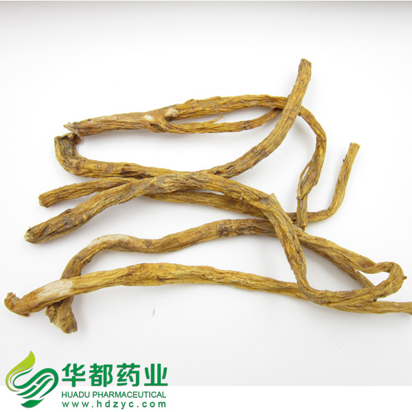 Gentiana Macrophylla Root / 秦艽 / Qin Jiao