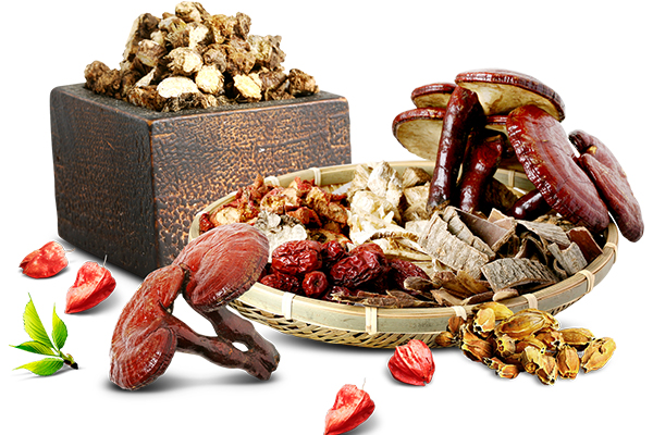 These five common Chinese medicines can improve hypertension!