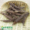 Fruit -Spike of Common Selfheal / 夏枯球 / Xia Ku Qiu