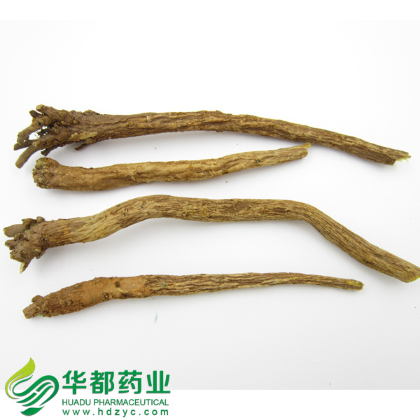 Scute / 黄芩 / Huang Qin
