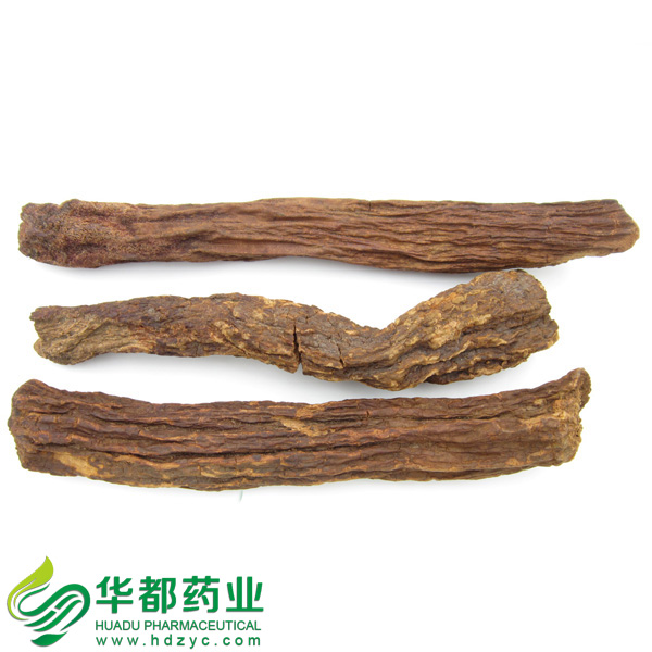Songaria Cynomorium Herb / 锁阳 / Suo Yang